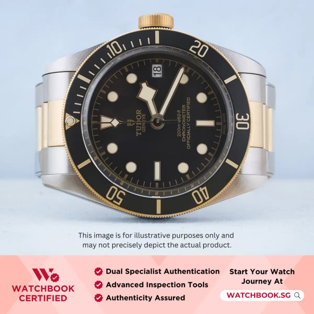 Tudor Black Bay S&G 79733N Black